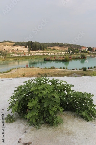 Obraz Pamukkale, Turkey