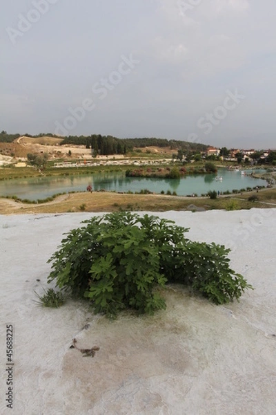 Obraz Pamukkale, Turkey