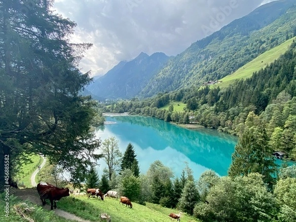 Obraz lake in the mountains