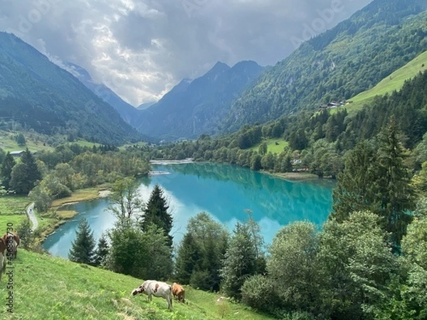 Obraz alpine lake in the mountains