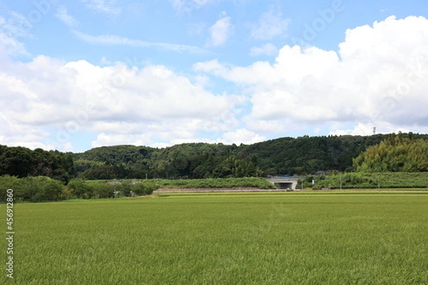 Fototapeta 田園風景