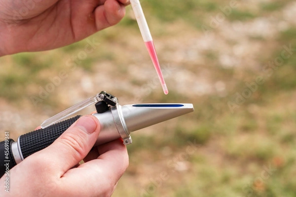 Obraz the winemaker applies a drop of grape juice with a pipette to the prism of a refractometer to determine the amount of sugar in the grape juice