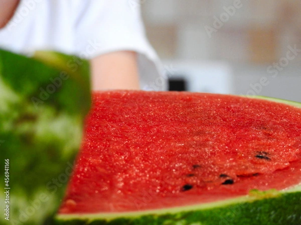 Obraz watermelon on the table