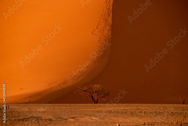 Obraz Namibia the world's highest dunes