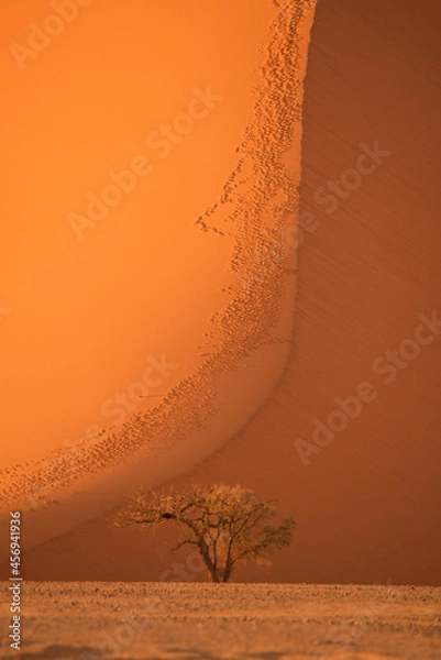 Obraz Namibia Sand dune
