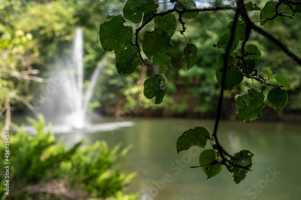 Obraz Waterfall in park, viewed through close up focus of tree branch leaves. 