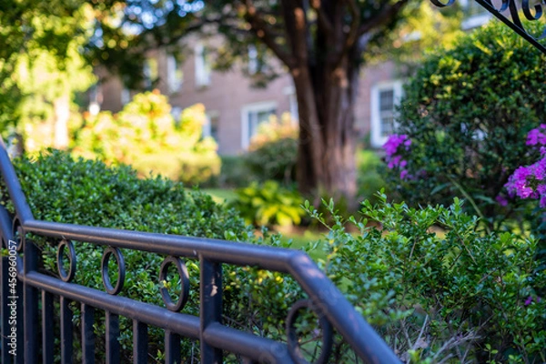 Obraz Close up view of steps railing, overlooking community courtyard garden. 