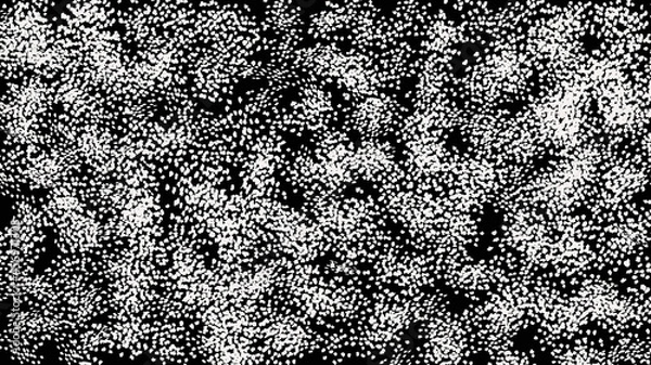 Fototapeta Black noise texture. Static interference grunge vector background.