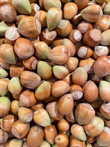Obraz Große Haselnüsse 