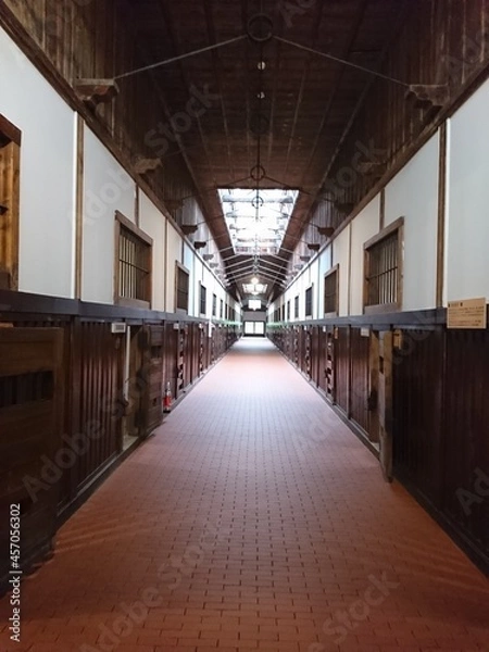 Fototapeta 回廊, 廊下, 建築, ホール, とびら, ビル, ゆか, ホテル, 長い, 光, オフィス, 中身のない, 部屋, エントランス, 道のり, とびら, 病院, 壁, カーペット, 遠近法, デザイン, 一節, トンネル, くだらない人