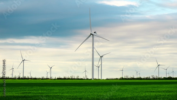 Obraz Wind turbines generating electricity with cloudy sky - energy conservation concept