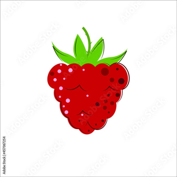 Fototapeta Ripe Juicy Raspberries with green leaves. Flat style Vector Illustration.