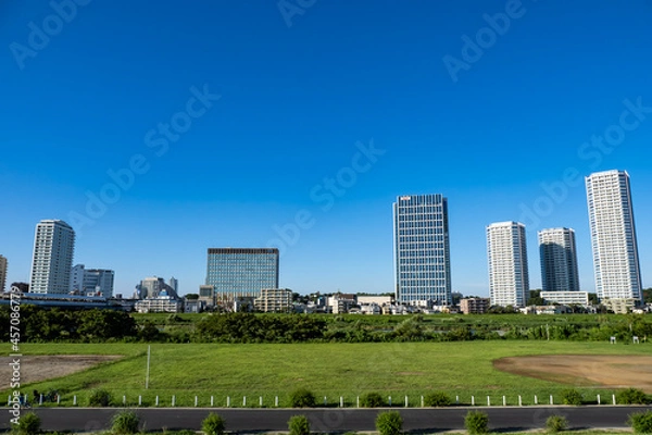 Fototapeta 東京の多摩川の河川敷