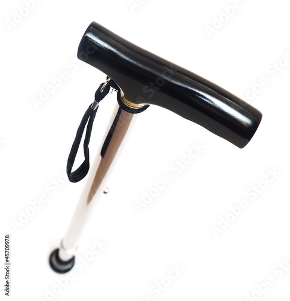 Obraz Walking stick isolated