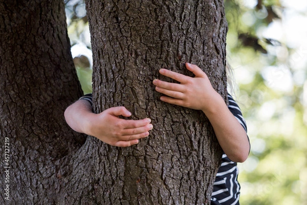 Fototapeta main enlacer un tronc d'arbre
