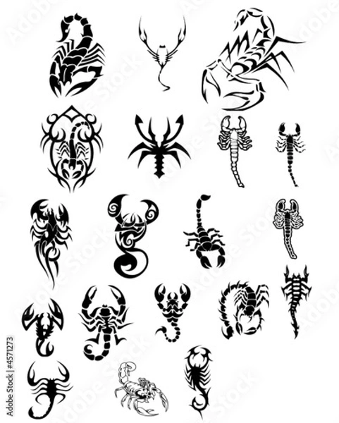 Obraz vector tatoo scorpions