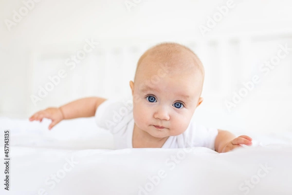 Obraz Portrait of cute and smiling four month old baby girl playing on the bed in her room. Happy and dry kid. 