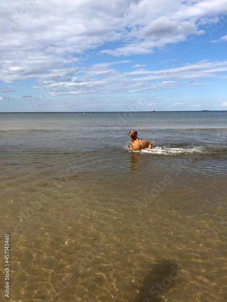 Obraz person on the beach