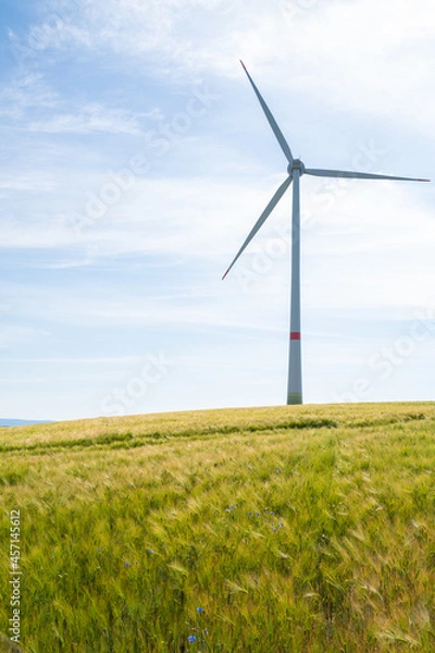 Fototapeta View of wind turbine in the grain field with nice blue sky and copy space on the left side