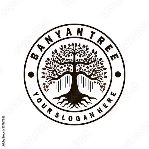 Fototapeta banyan tree logo design template. circle stamp style logo. tree illustration vector
