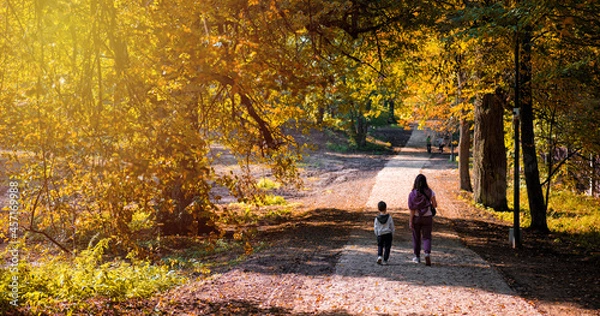 Fototapeta mom and son are walking in the park in the fall
