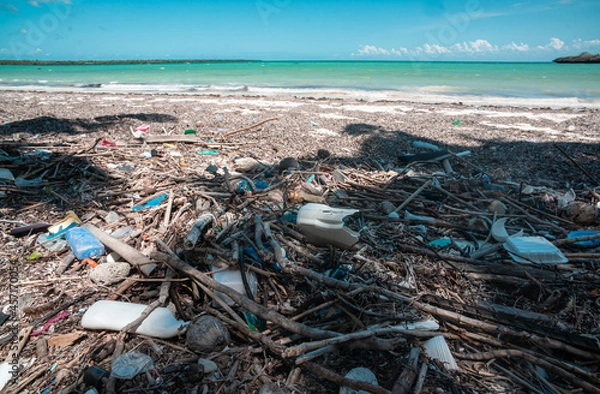 Fototapeta Spilled garbage on the beach of tropical island. Trash on the beach. Empty used dirty plastic. Dirty ocean sandy shore the Indian ocean. pollution. Ecological problem. Zanzibar. Africa.