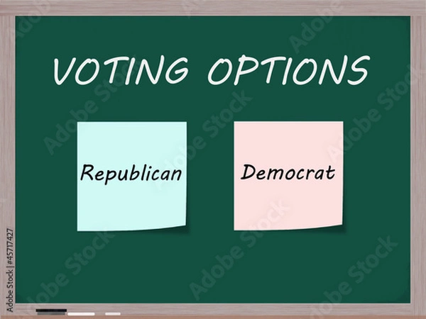 Obraz Voting Options on Blackboard