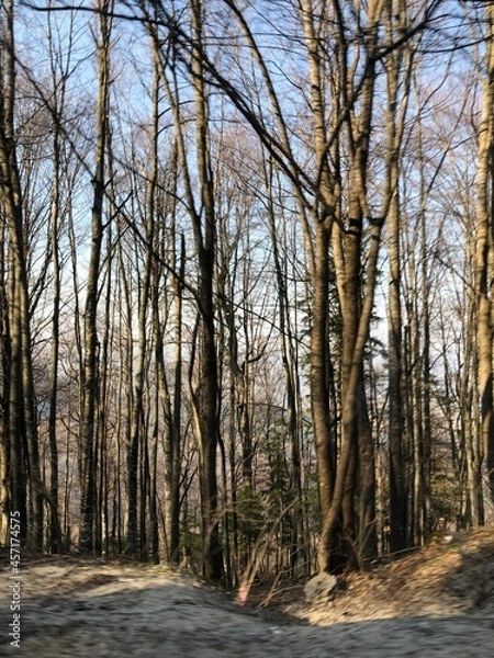 Obraz Sarajevo - Bosnia