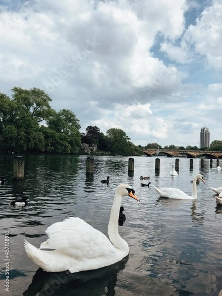 Obraz London - England