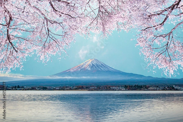 Fototapeta 富士山と桜	