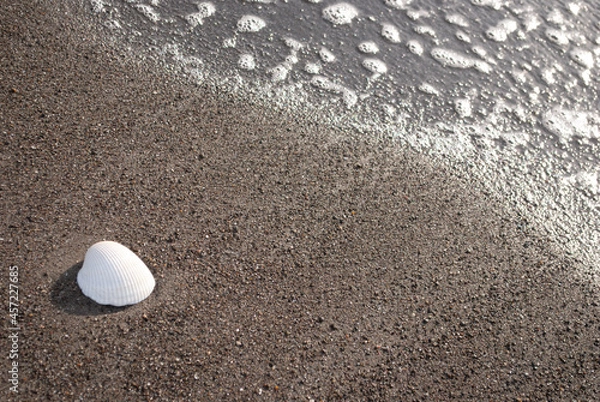 Obraz sand and shell