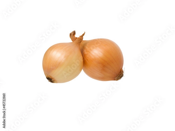 Obraz two onions
