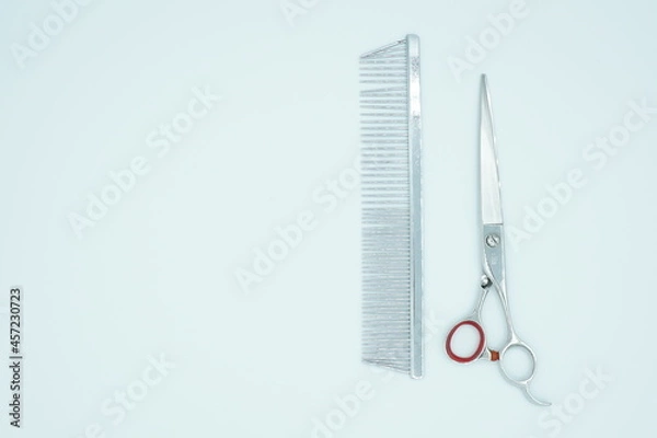 Obraz ハサミとコーム