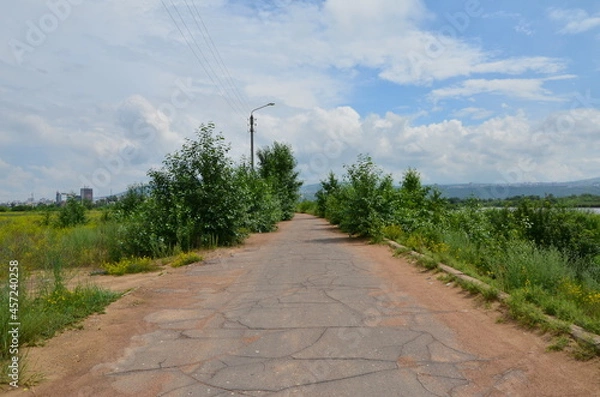 Obraz A road with bushes and column