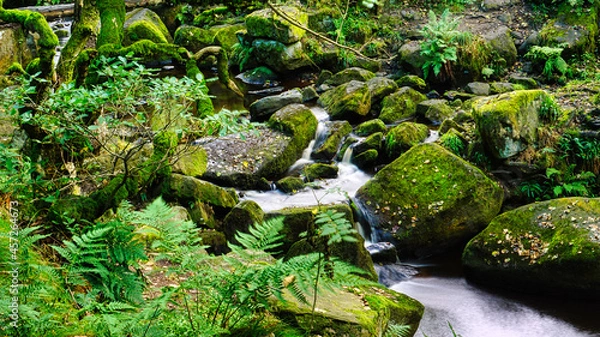 Fototapeta Slowmotion water stream creating a path through the boulders