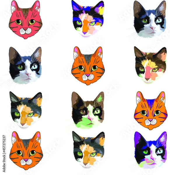 Fototapeta Vector cats. Portraits of cats. For printing on fabric.
