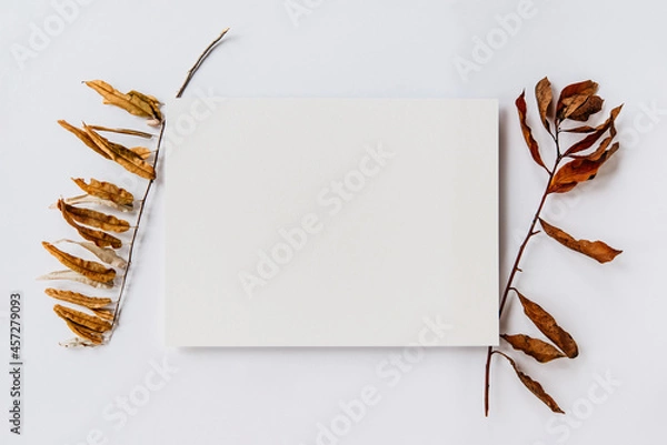 Fototapeta Blank paper