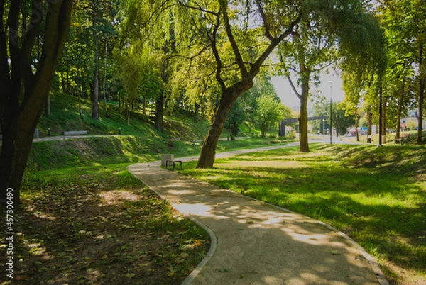 Fototapeta path in the park