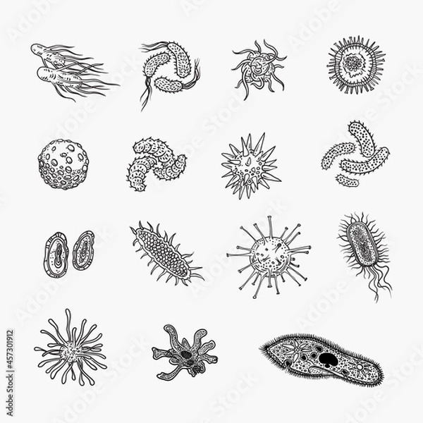 Fototapeta Simple set of bacteria virus icons for web design