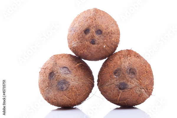 Fototapeta three coconuts