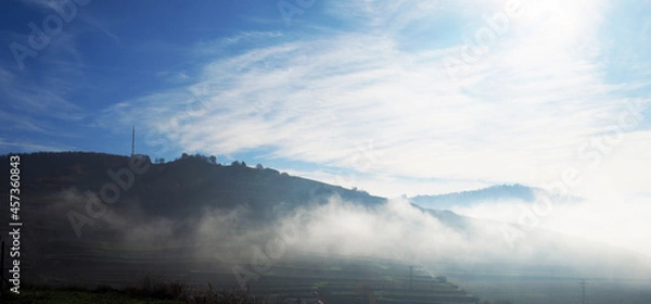 Fototapeta Nebel am Kaiserstuhl