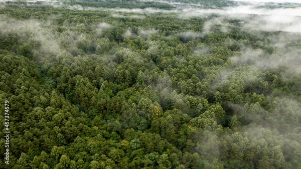 Obraz Clouds are generated from the forest seen from the sky