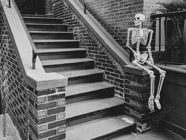 Obraz Skeleton portrait, sat on the stairwell of building entrance. 