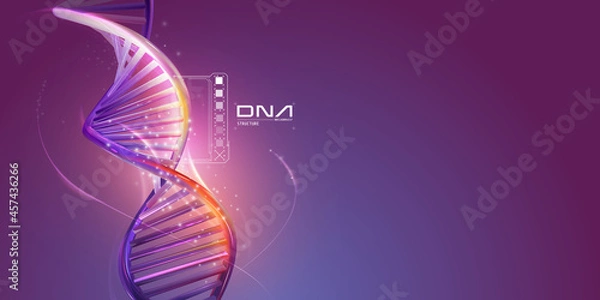 Fototapeta DNA double helix structure on a purple background.