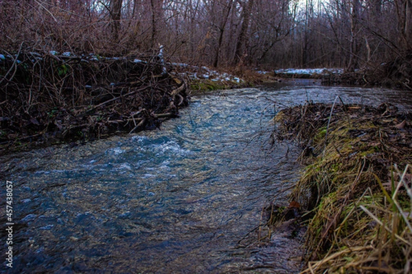 Obraz river in the forest