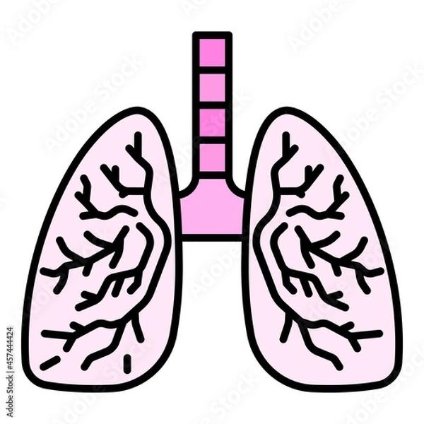 Obraz Healthy lungs icon. Outline healthy lungs vector icon color flat isolated on white