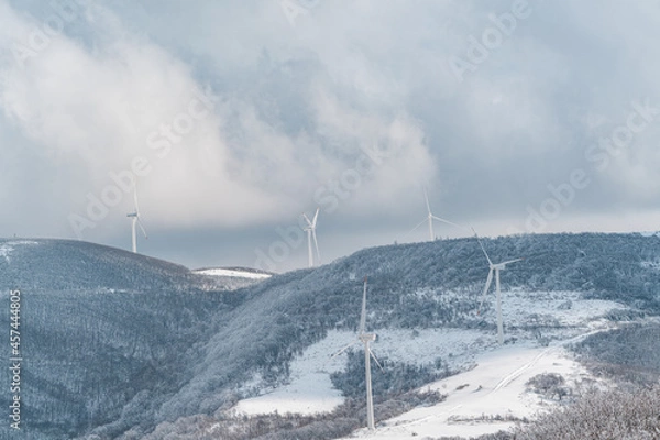 Fototapeta 한국 평창의 겨울