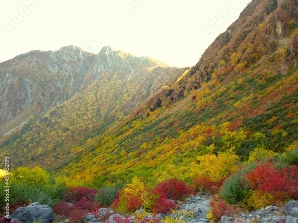 Obraz 日本の山　涸沢カール　10月