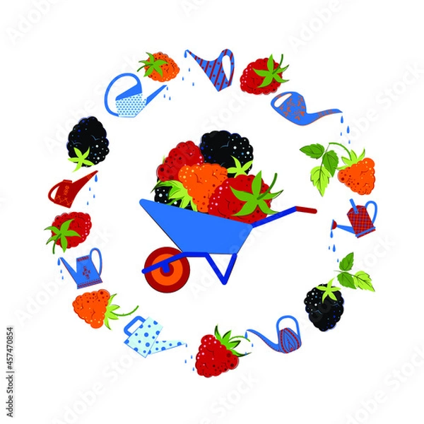 Obraz Blackberries, raspberries and yellow raspberries. Ripe berries in a wheelbarrow, a round frame of berries and watering cans. Flat style Vector Illustration.