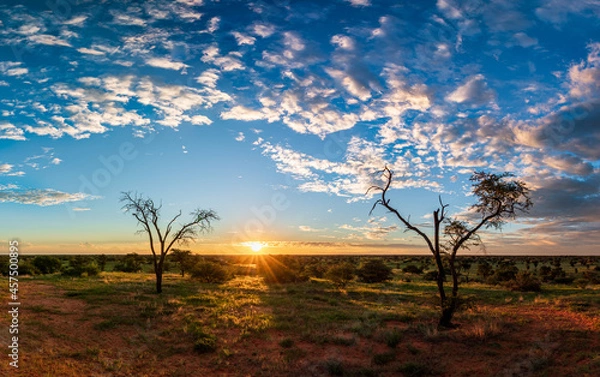 Obraz Kalahari Sunset